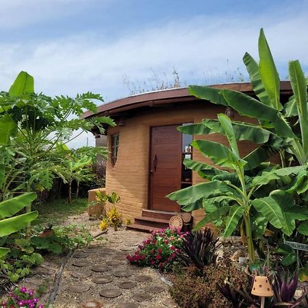 Eco Loft Maymuna: Seu Loft Ecologico Pertinho Da Praia Villa Porto de Pedras Ngoại thất bức ảnh