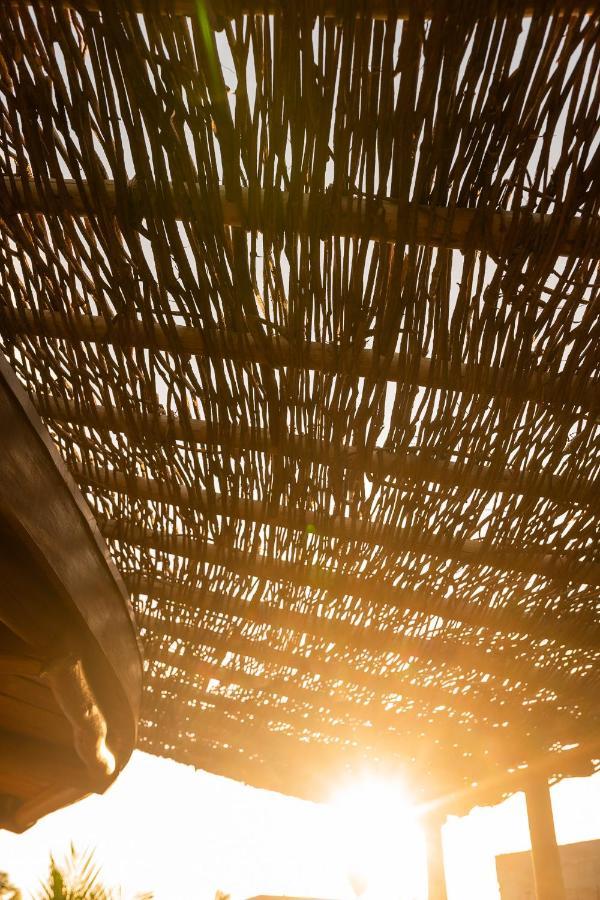 Eco Loft Maymuna: Seu Loft Ecologico Pertinho Da Praia Villa Porto de Pedras Ngoại thất bức ảnh